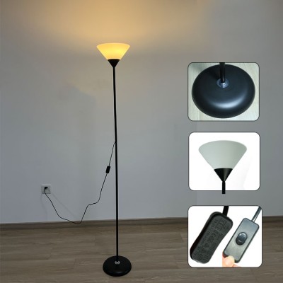 LED Floor Lamp FRL130picture2