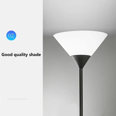 LED Floor Lamp FRL130picture6