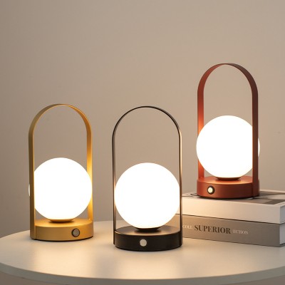 LED Table Light DTL500picture6