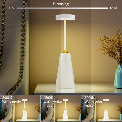 LED Desk Lamp DTL1300picture5