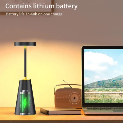 LED Desk Lamp DTL1300picture6