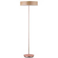 LED Floor Lamp FRL210