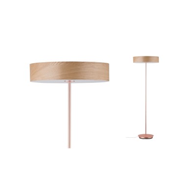 LED Floor Lamp FRL210picture3