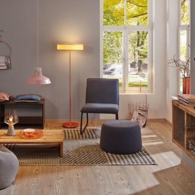 LED Floor Lamp FRL210picture6