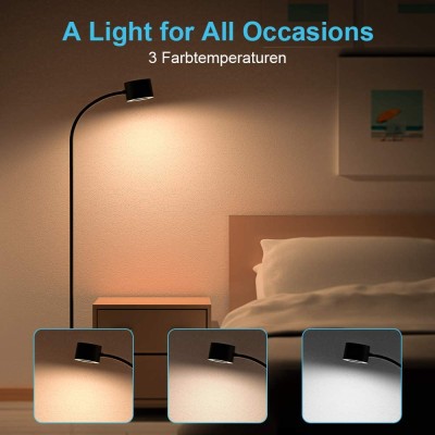 LED Floor Lamp FRL490picture2