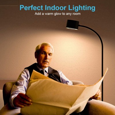 LED Floor Lamp FRL490picture6