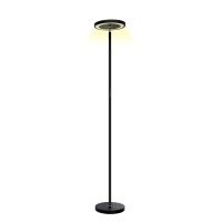 LED Floor Lamp FRL220