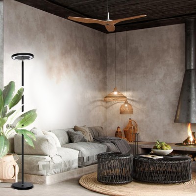LED Floor Lamp FRL220picture5