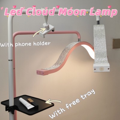 LED Floor Lamp FRL240picture2