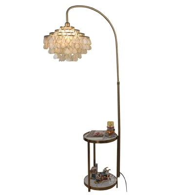 LED Floor Lamp FRL160picture1