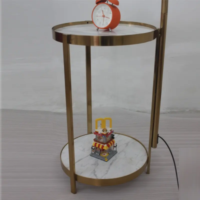 LED Floor Lamp FRL160picture4