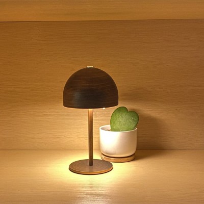 LED Table Light DTL600picture2