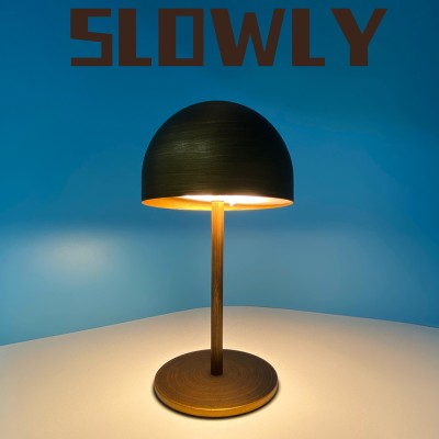 LED Table Light DTL600picture3