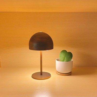 LED Table Light DTL600picture4