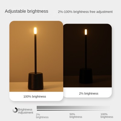LED Table Light DTL610picture4