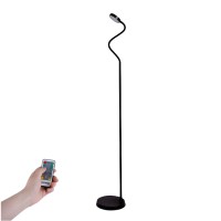 LED Floor Lamp FRL370