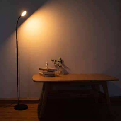 LED Floor Lamp FRL370picture2
