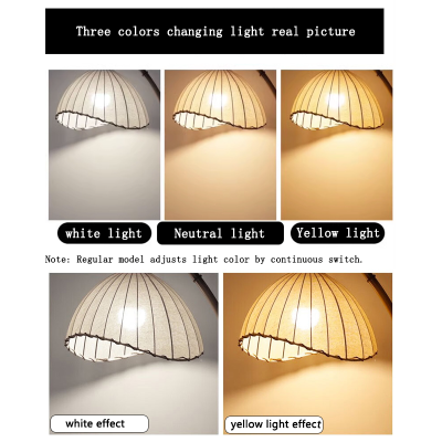 LED Floor Lamp FRL380picture4