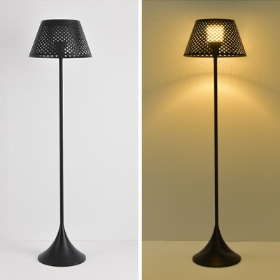 LED Floor Lamp FRL250picture3