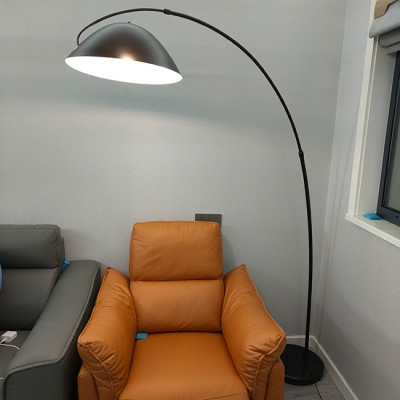 LED Floor Lamp FRL510picture5