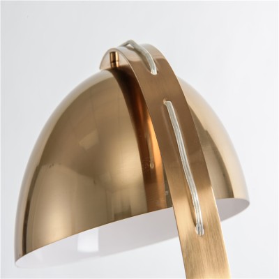 LED Table Light DTL630picture4