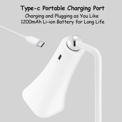 LED Table Light DTL400picture5