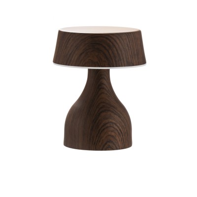 LED Table Light DTL420picture2