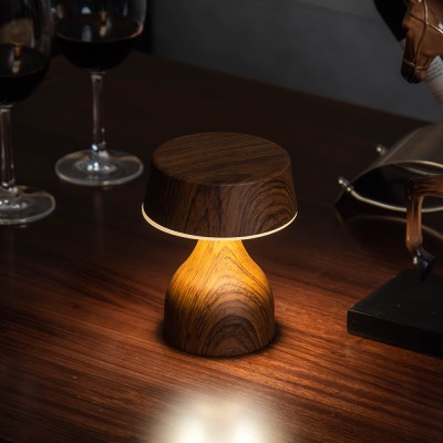 LED Table Light DTL420picture3