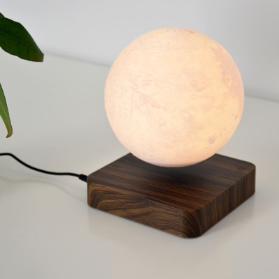 LED Table Light DTL450picture2