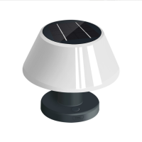 LED Table Light DTL460