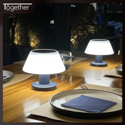 LED Table Light DTL460picture2