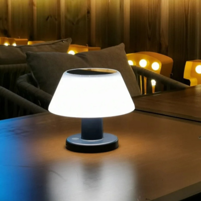 LED Table Light DTL460picture4