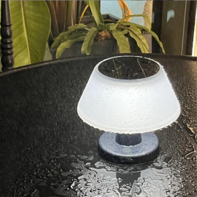 LED Table Light DTL460picture5