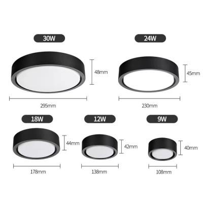 LED Downlight DL1000picture2