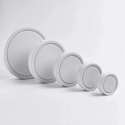 LED Downlight DL1000picture5