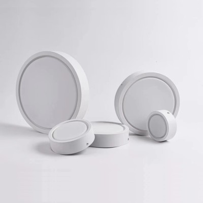 LED Downlight DL1000picture6
