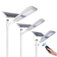 Solar Street Light SSL120
