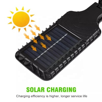Solar Street Light SSL130picture2