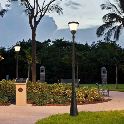 LED Post Top Light PTL450picture2