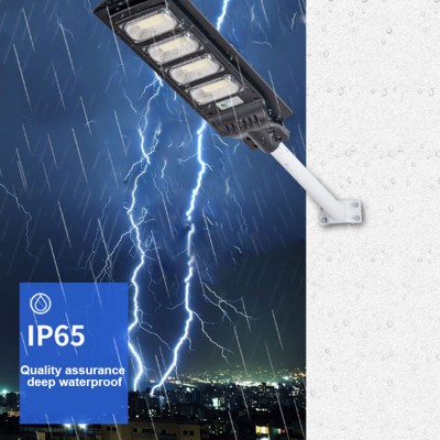 Solar Street Light SSL230picture4