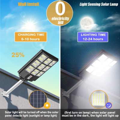 Solar Street Light SSL250picture2
