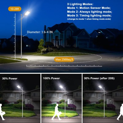 Solar Street Light SSL250picture3