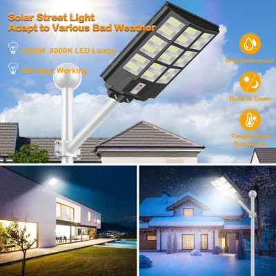 Solar Street Light SSL250picture4