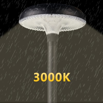 LED Post Top Light PTL300picture2
