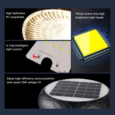 LED Post Top Light PTL300picture4