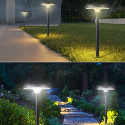 LED Post Top Light PTL300picture5