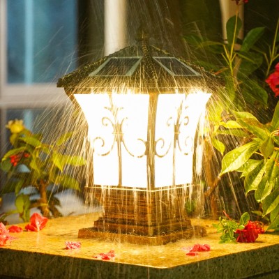 Solar Garden Light SGL100picture3