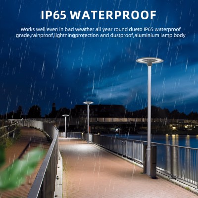 LED Post Top Light PTL280picture4