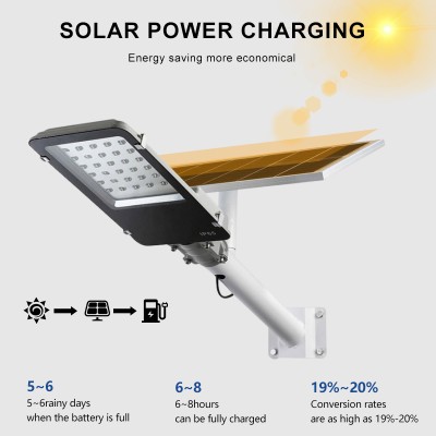 Solar Street Light SSL260picture5