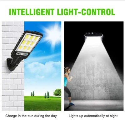 Solar Street Light SSL280picture3